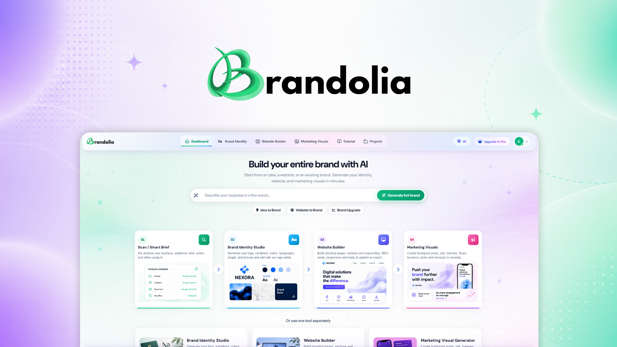 Brandolia
